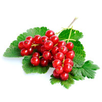 Jankheer van Tets (ISK)